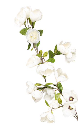 扣 栀子花 素材 免扣