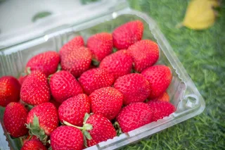 一盒鲜花草莓图片