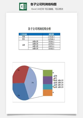 各子公司利润结构图excel模板