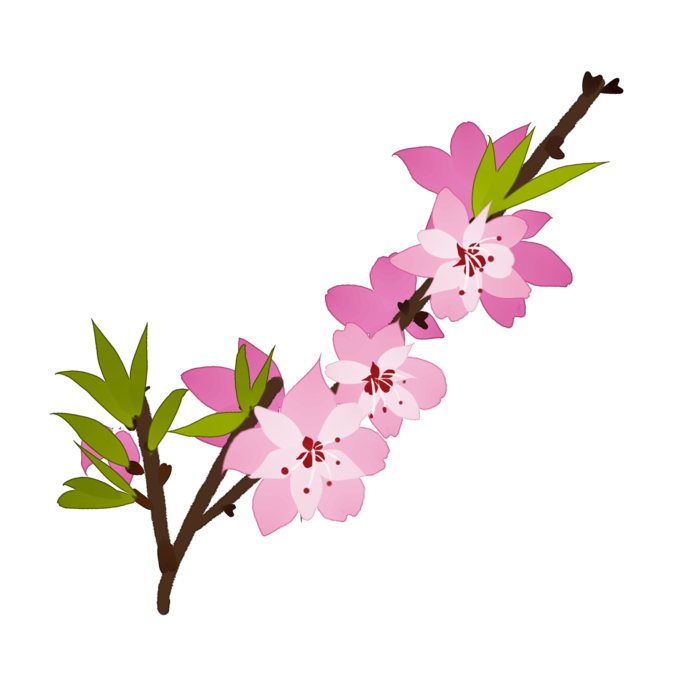 春天浪漫粉红色樱花手绘樱花梅花桃花花朵图片PNG免扣素材