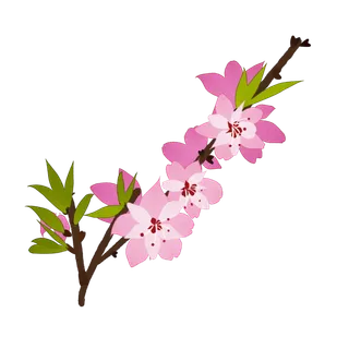 春天浪漫粉红色樱花手绘樱花梅花桃花花朵图片PNG免扣素材