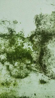 绿色油画风格苔藓背景图