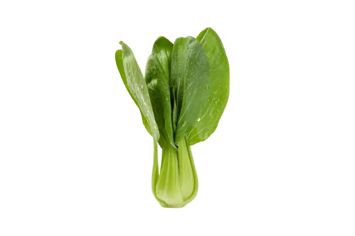 青菜上海青蔬菜免扣素材