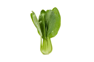 青菜上海青蔬菜免扣素材