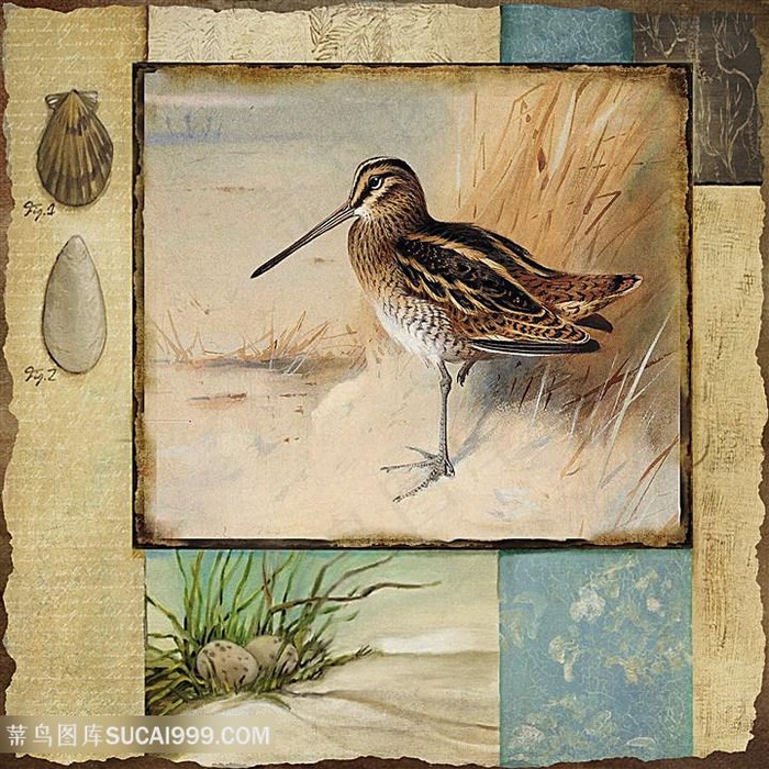 欧式花鸟装饰画