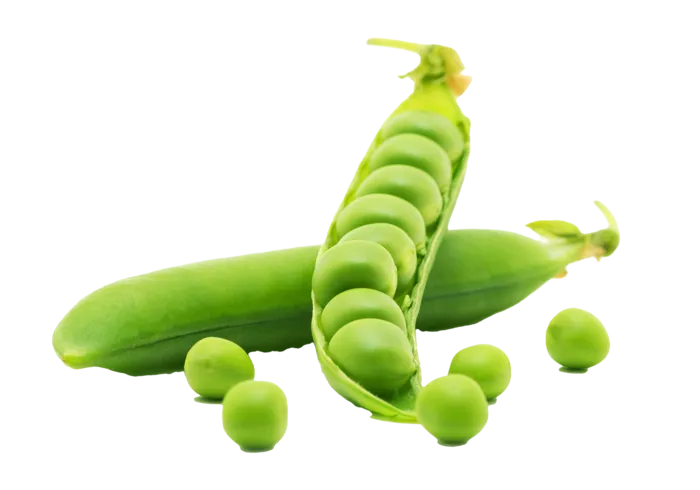甜豆角 (5)超市商品白底图免抠实物摄影png格式图片透明底