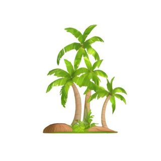 椰树棕榈树免抠