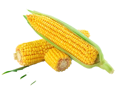 玉米超市商品白底图免抠实物摄影png格式图片透明底