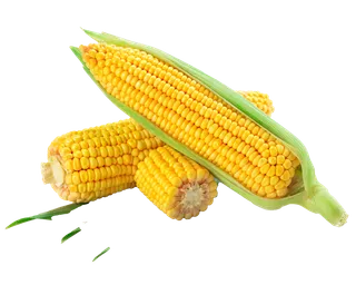 玉米超市商品白底图免抠实物摄影png格式图片透明底
