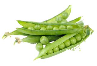 甜豆角 (9)超市商品白底图免抠实物摄影png格式图片透明底