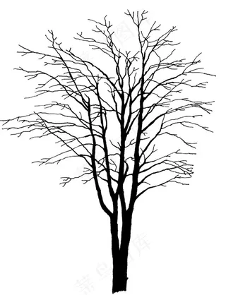 树木设计矢量图