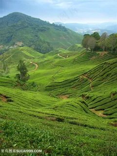 美丽的田园景色高清图片