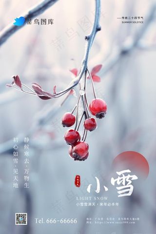 小雪冬天节气简约冰果实海报