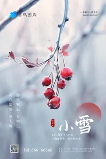 小雪冬天节气简约冰果实海报 小雪冬天节气简约冰果实海报