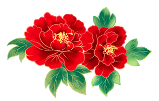 红色 花朵  免抠