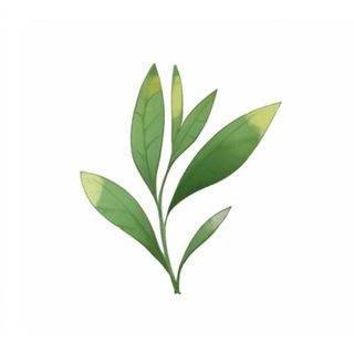 一支绿色的叶子png免抠