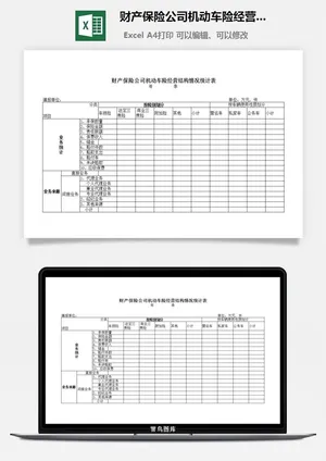 财产保险公司机动车险经营结构情况统计表excel模板预览图