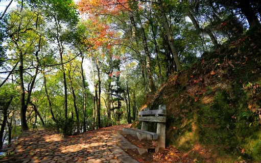 安徽屯溪老街风景图片-第8张