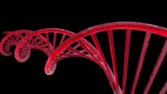 脱氧核糖核酸, 链, 生物学, , 科学, 医疗的