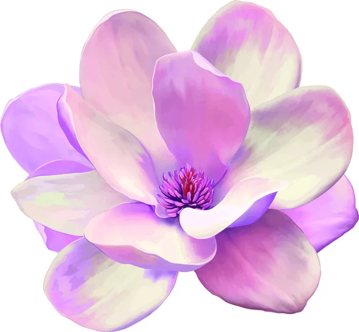 花朵花瓣花束失量背景图eps,ai矢量模版下载