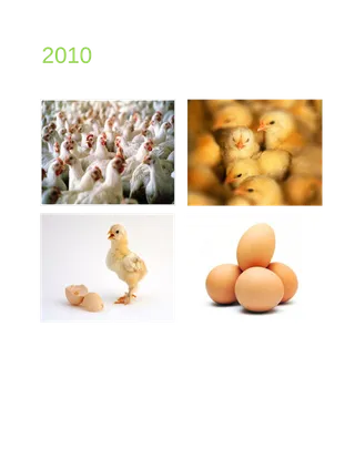 土豆庄家现代农业