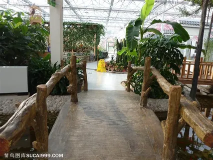 延边国贸生态园 养生会馆室内场景图片