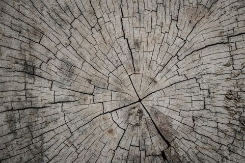 木纹背景图片