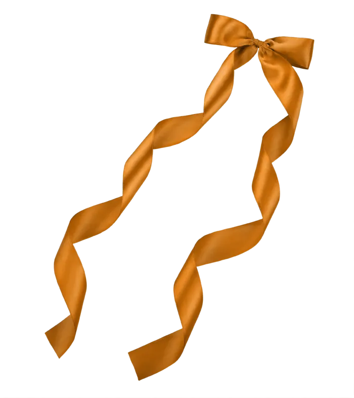 蝴蝶结黄色绸带