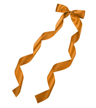 蝴蝶结黄色绸带