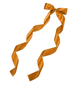 蝴蝶结黄色绸带