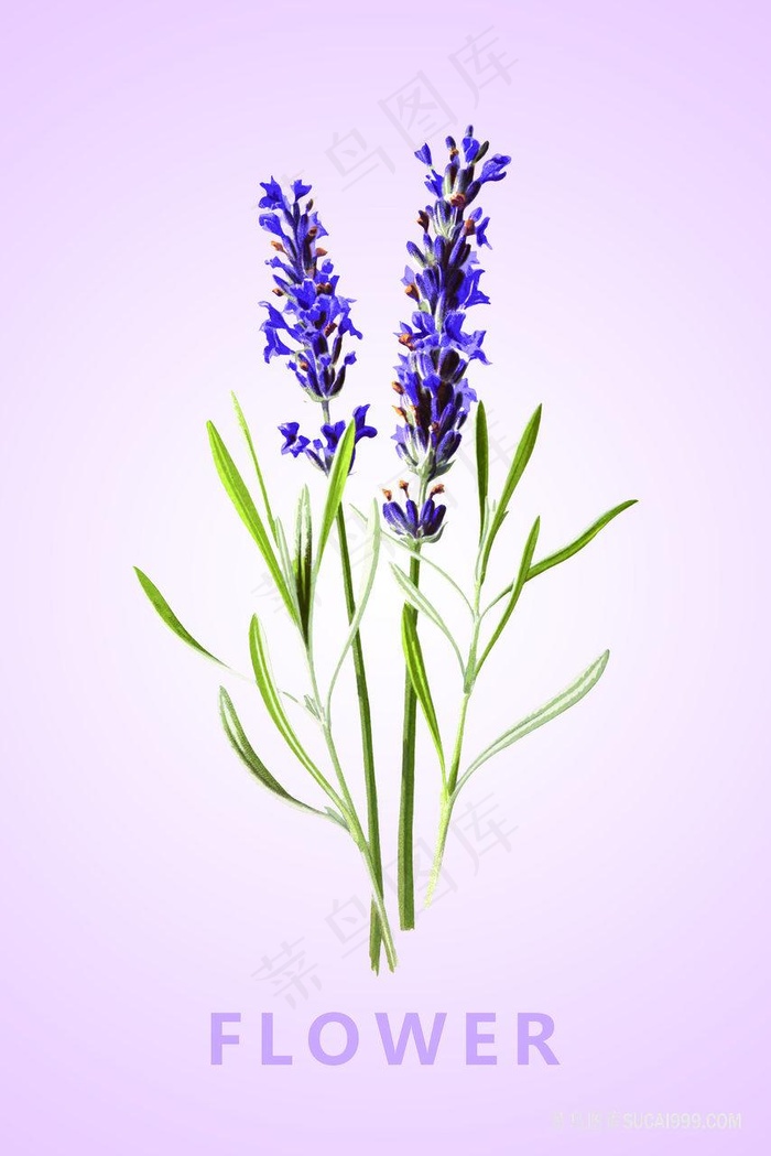 唯美紫色花卉花束装饰画