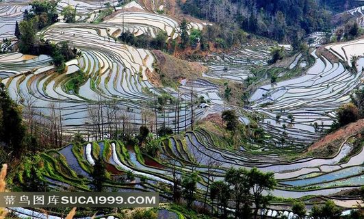 云南元阳梯田风景高清素材