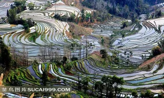 云南元阳梯田风景高清素材