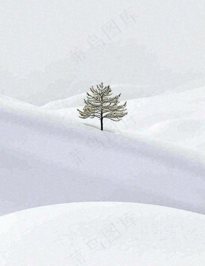 冬天意境简约松树雪地，立冬冬至小雪大雪小寒大寒(960x1248)