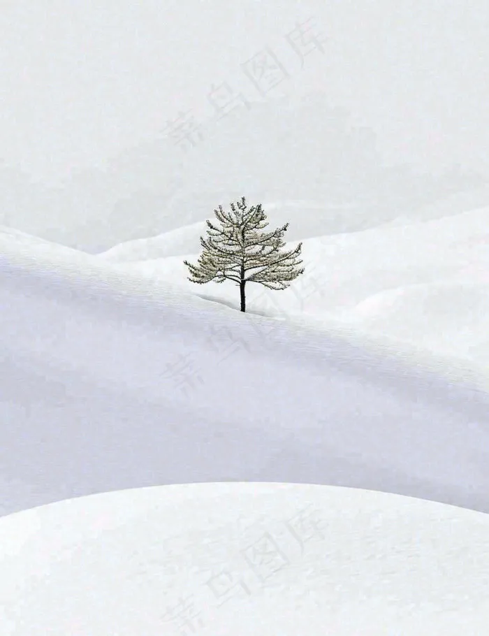 冬天意境简约松树雪地，立冬冬至小雪大雪小寒大寒(960x1248)