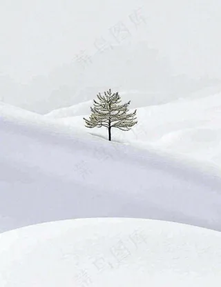 冬天意境简约松树雪地，立冬冬至小雪大雪小寒大寒