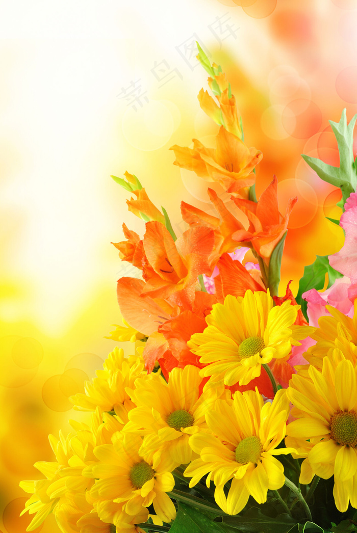 唯美鲜花背景图片下载