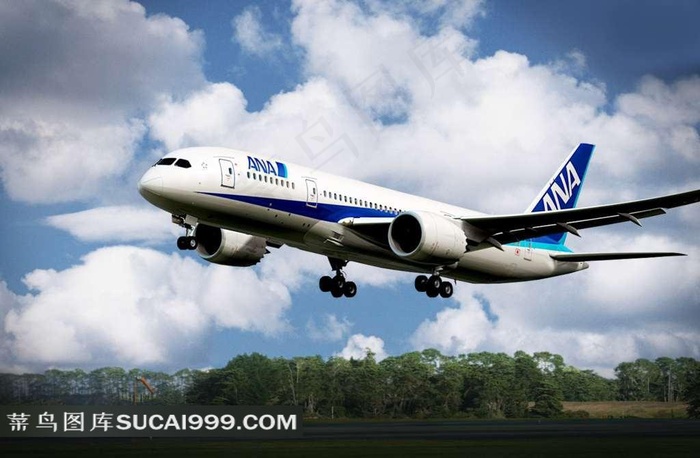 全日空航空ANA公司飞机