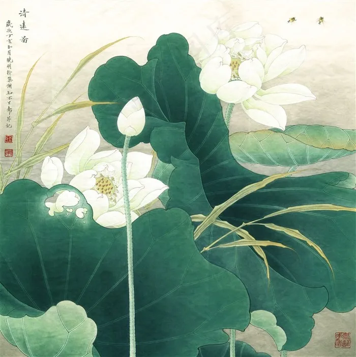 临周彦生清远图荷花工笔画