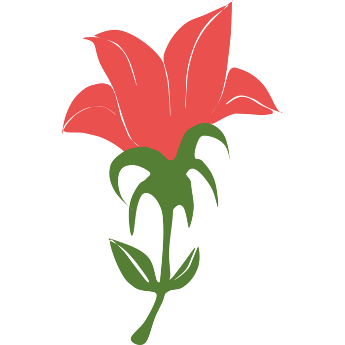 百合花装饰元素