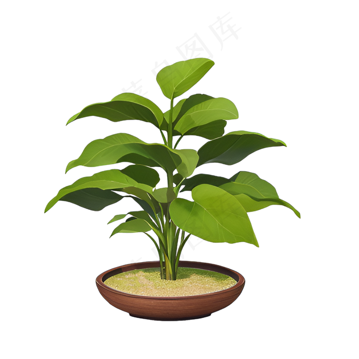 绿色手绘PNG手绘唯美植物盆栽 (5)