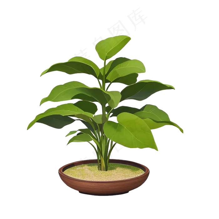 绿色手绘PNG手绘唯美植物盆栽 (5)
