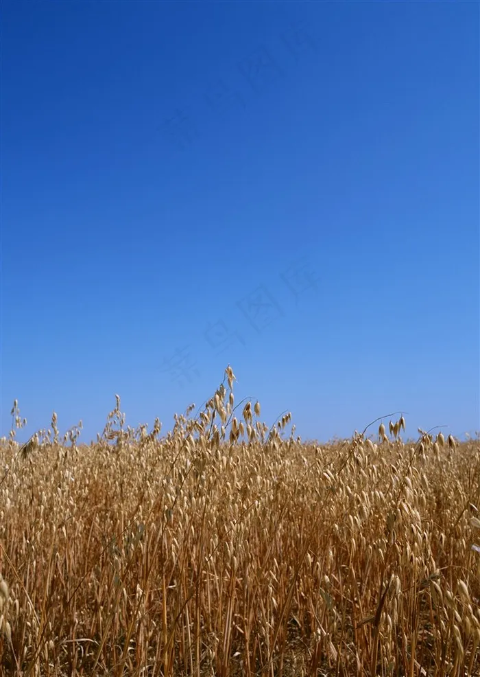 晴空万里概念jpg素材