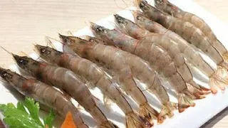 海鲜 素材 .油焖大虾  装盘 (1)_1