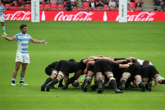 绿茵场球员图片