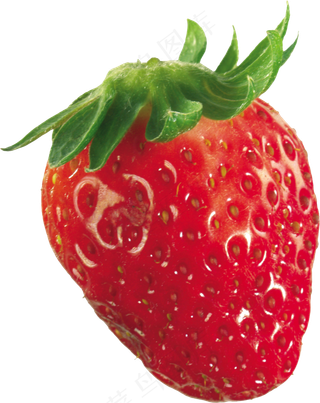 草莓特写 红色草莓 新鲜草莓