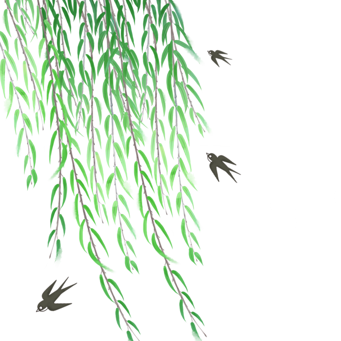 春天绿色春季水墨柳树柳条柳叶春季海报设计PNG免扣素材