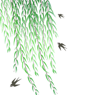 春天绿色春季水墨柳树柳条柳叶春季海报设计PNG免扣素材