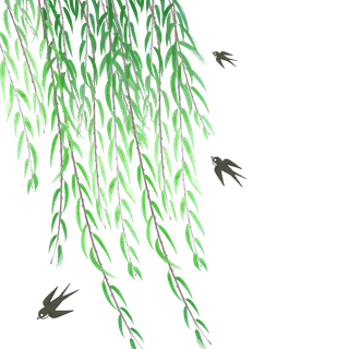 春天绿色春季水墨柳树柳条柳叶春季海报设计PNG免扣素材