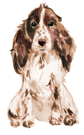 狗狗水彩画插画免扣素材可爱宠物狗